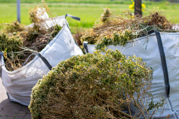 Yard Cleanup Services in Thorndale, TX